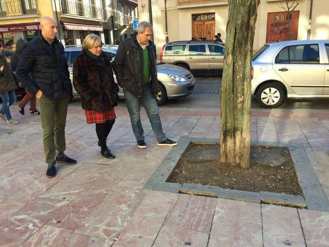 Concejales del PSOE en la ciudad de León observando el estado de los alcorques. 