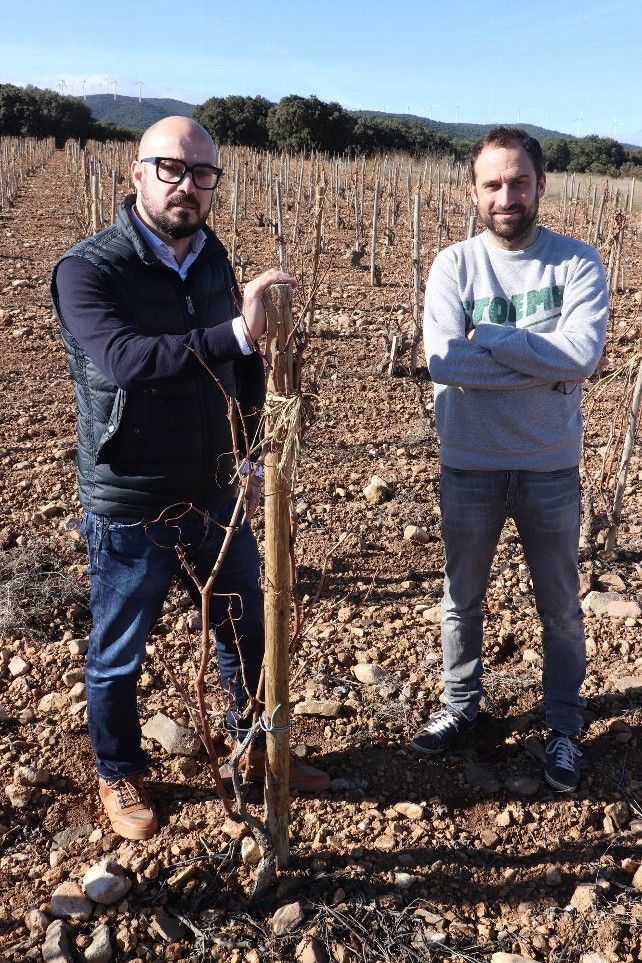 Iñaki y Xabier Sanz, de Viña Zorzal Wines y fundadores de la asociación Paisajes y Viñedos de Navarra. Foto de DIARIO DE NOTICIAS