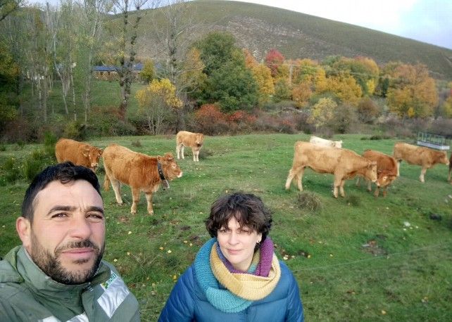 Ruth García y Amador Madero, con sus vacas en la Cabrera. 
